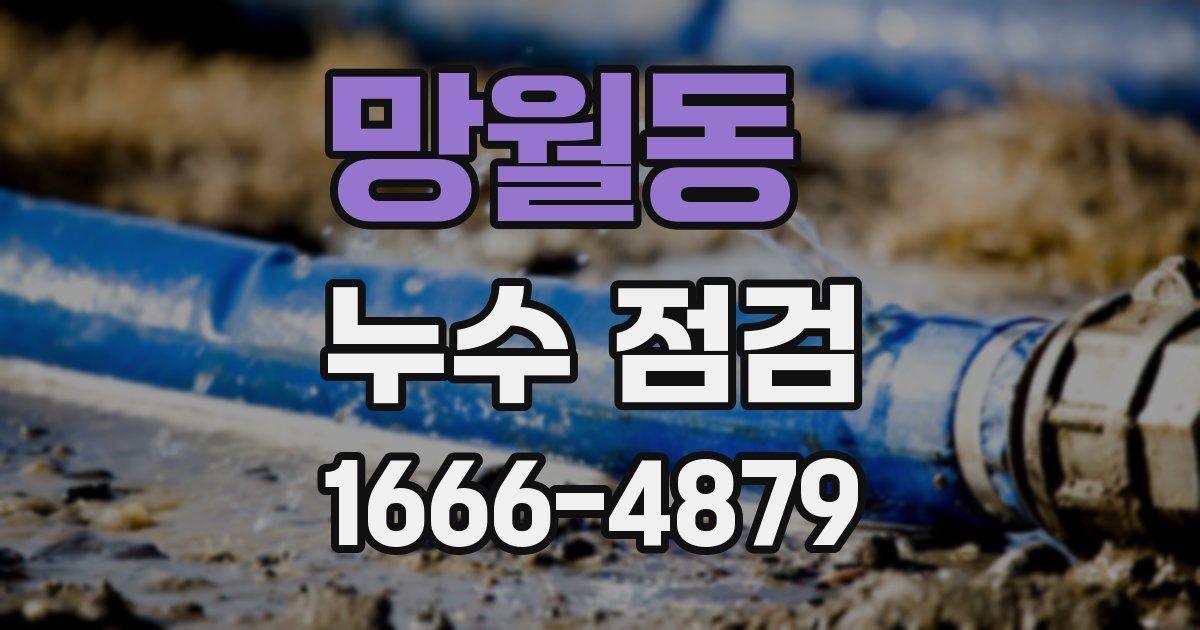 망월동 누수 점검