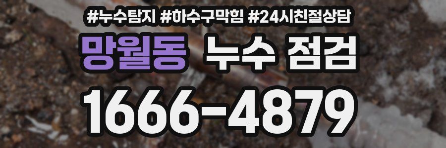 망월동 누수 점검