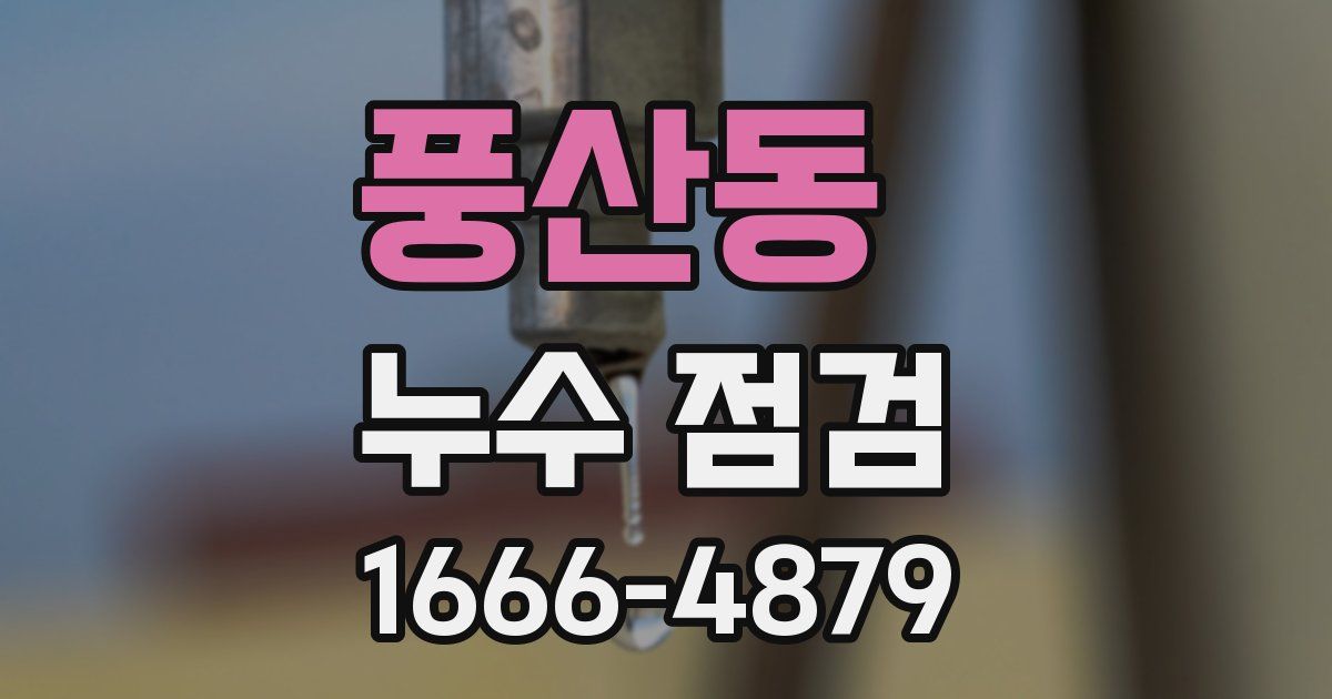 풍산동 누수 점검