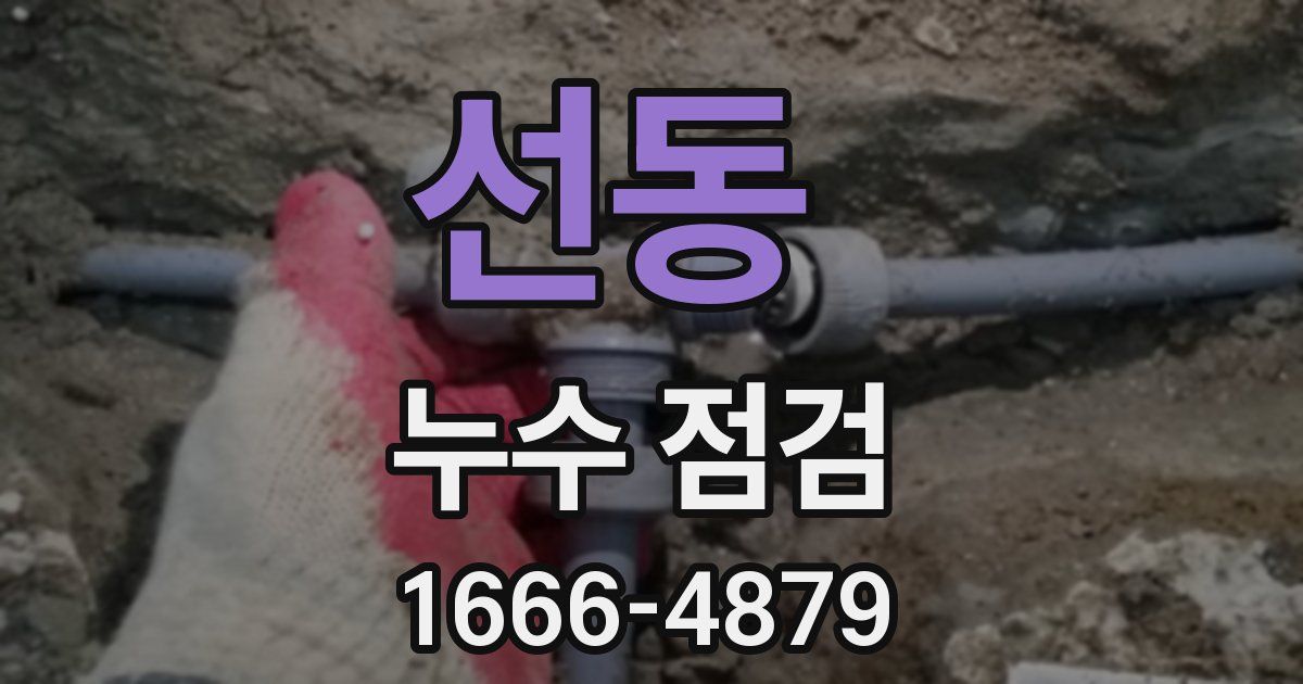 선동 누수 점검