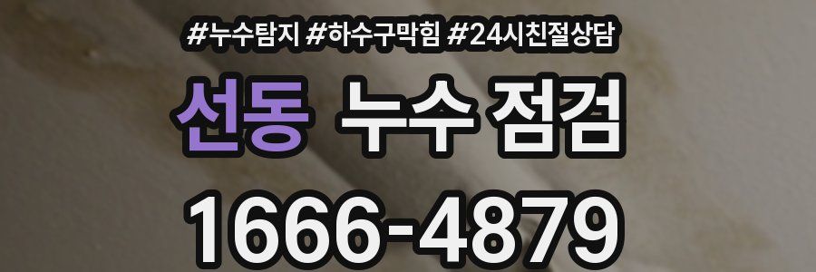 선동 누수 점검