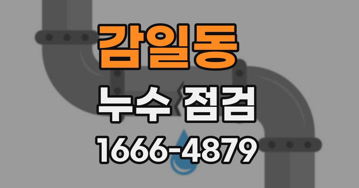 감일동 누수 점검