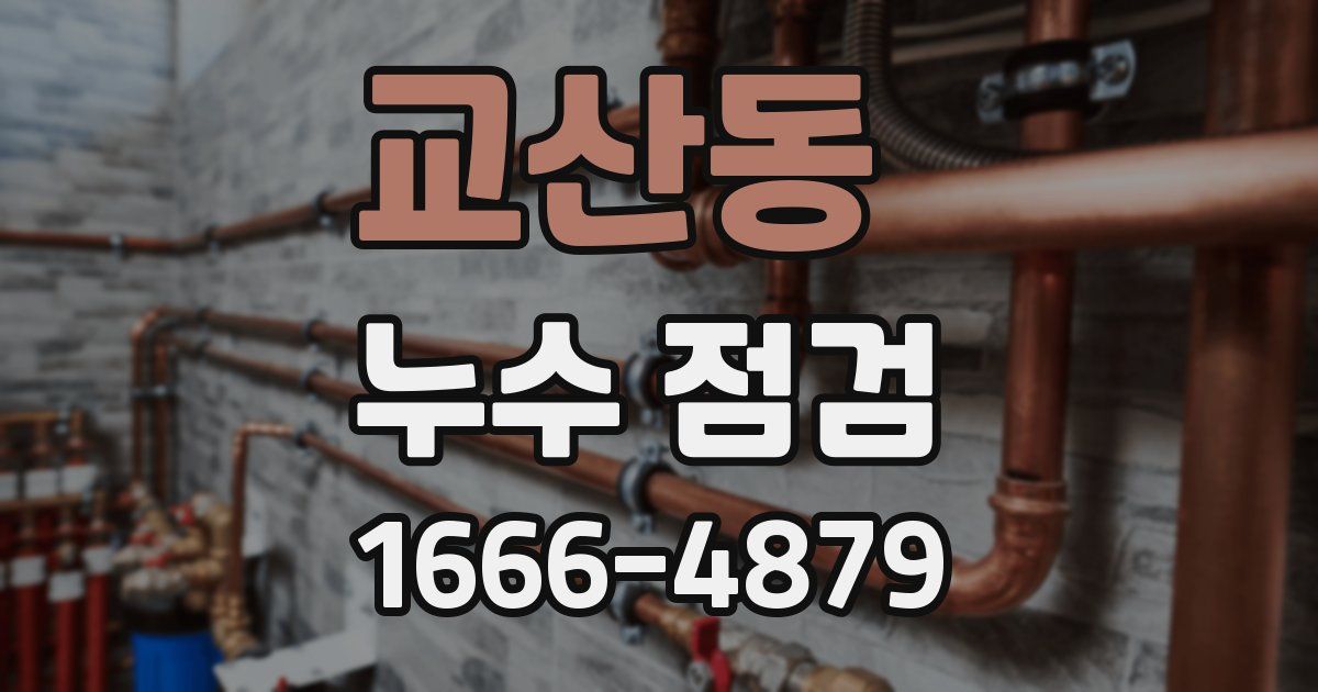 교산동 누수 점검