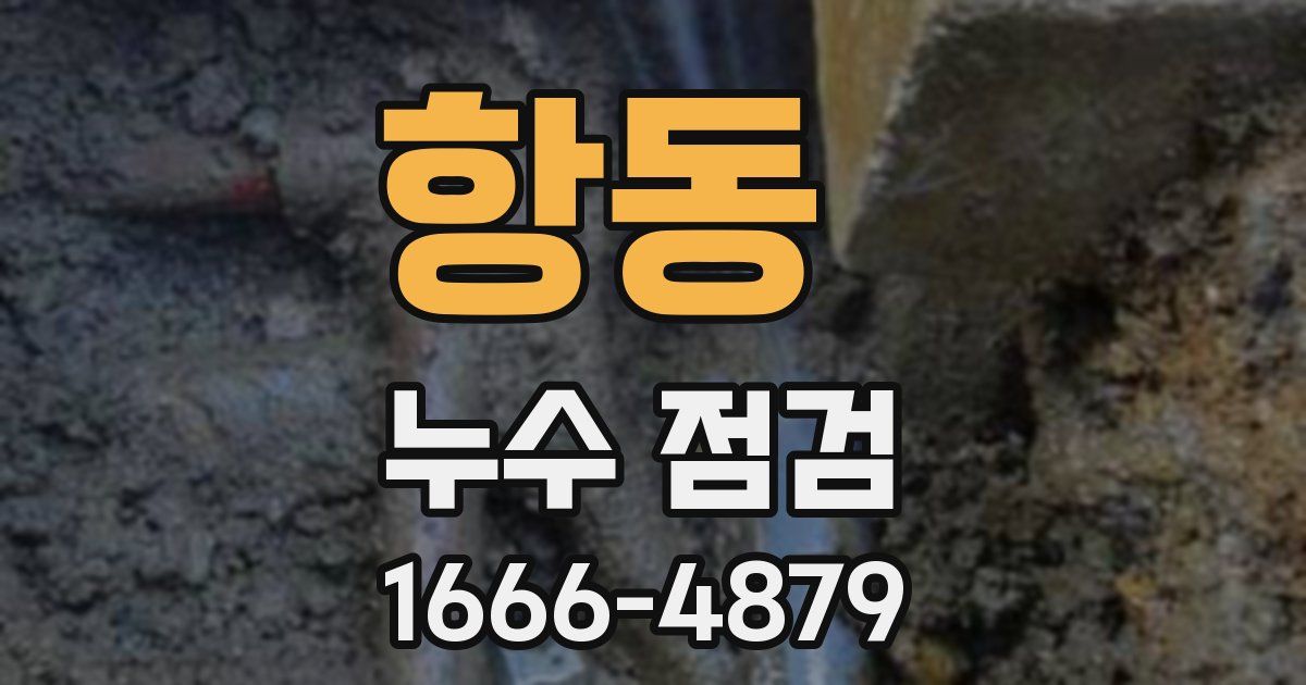 항동 누수 점검