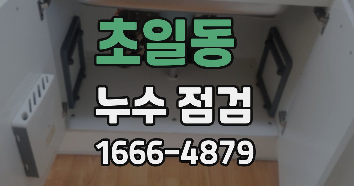 초일동 누수 점검