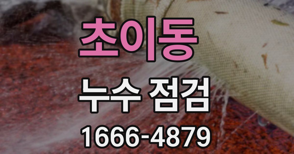 초이동 누수 점검