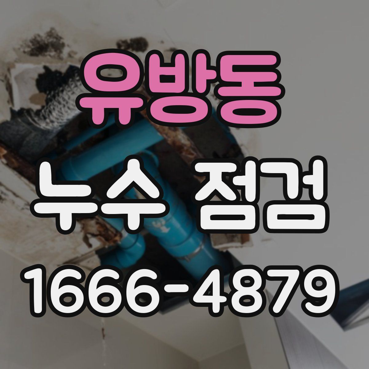유방동 누수 점검