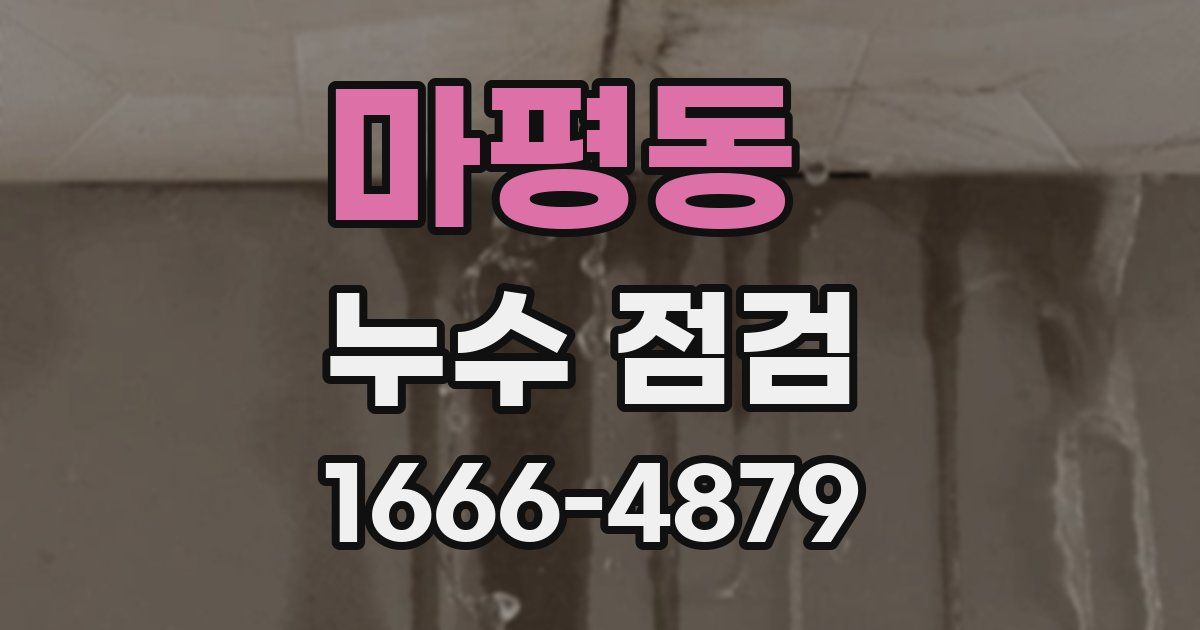 마평동 누수 점검