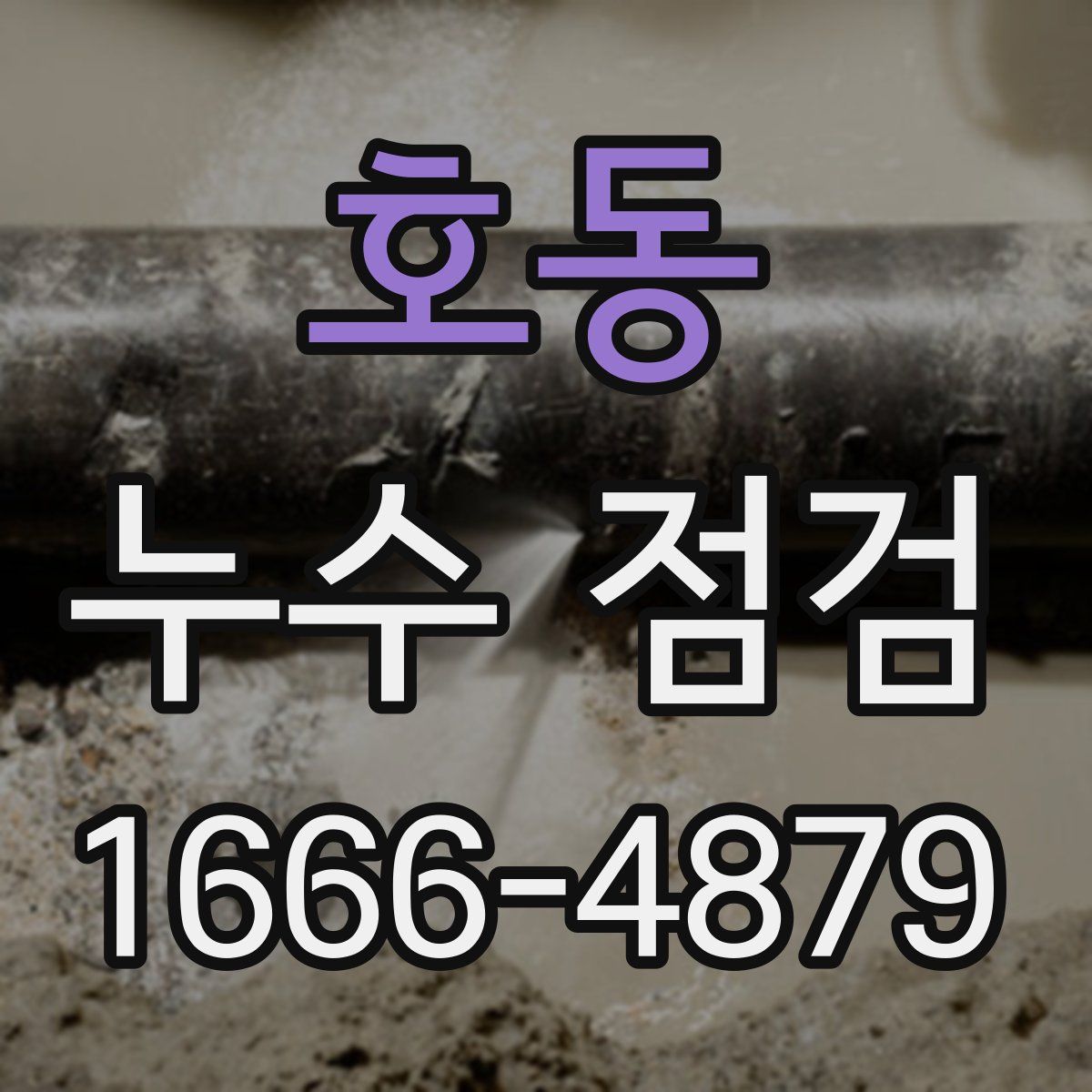 호동 누수 점검