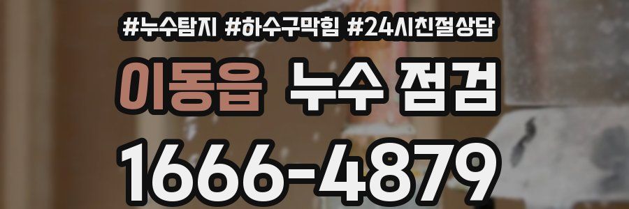 이동읍 누수 점검
