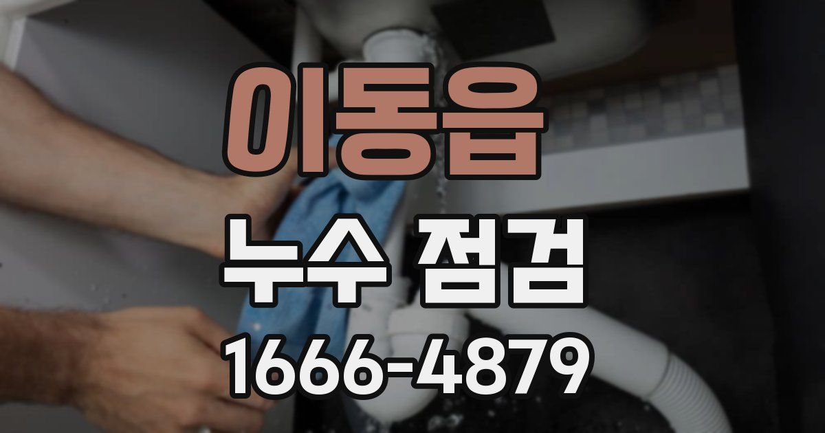 이동읍 누수 점검