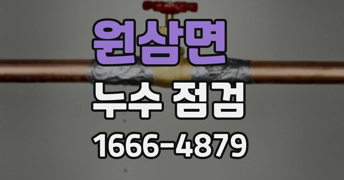 원삼면 누수 점검