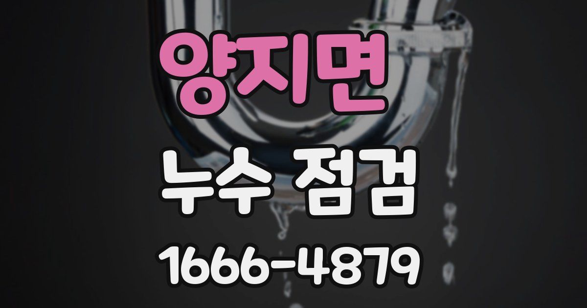 양지면 누수 점검