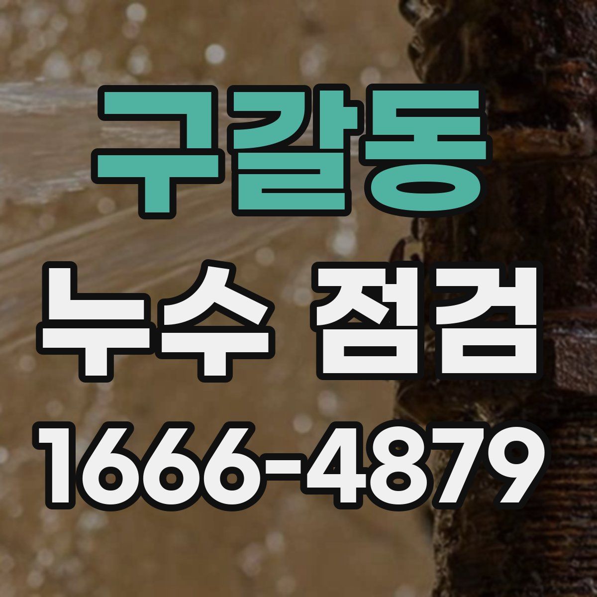 구갈동 누수 점검