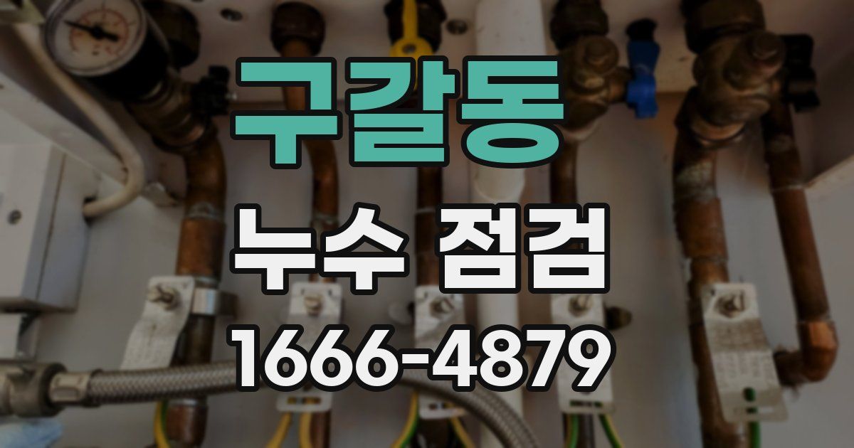 구갈동 누수 점검