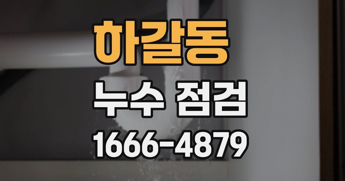 하갈동 누수 점검