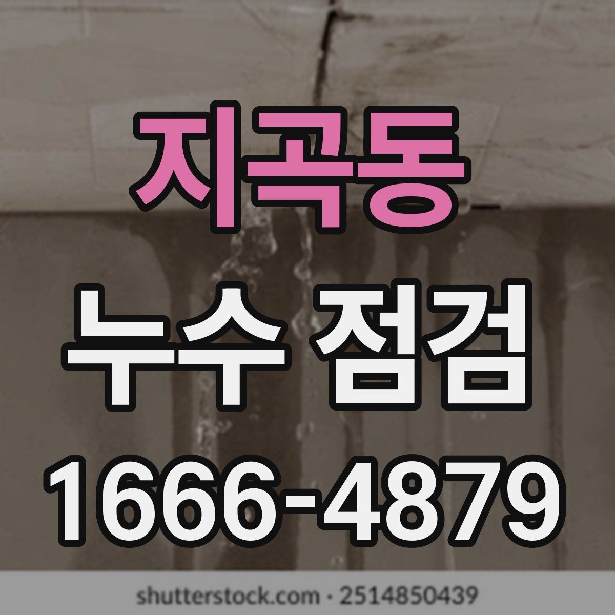 지곡동 누수 점검