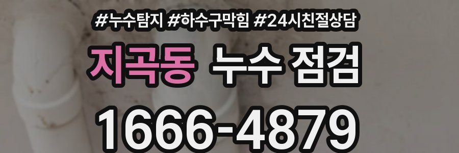 지곡동 누수 점검