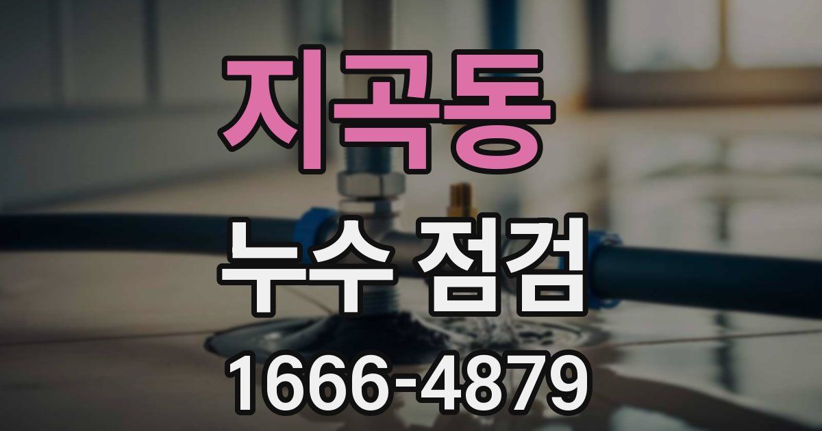 지곡동 누수 점검