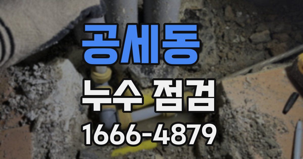 공세동 누수 점검