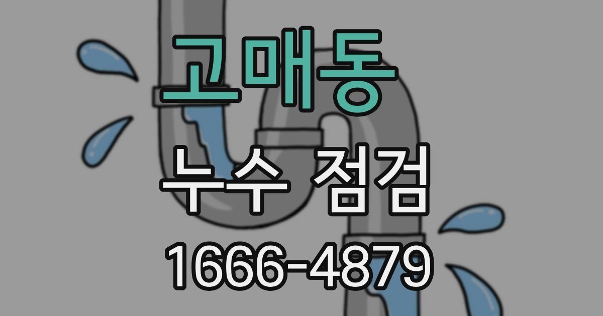 고매동 누수 점검