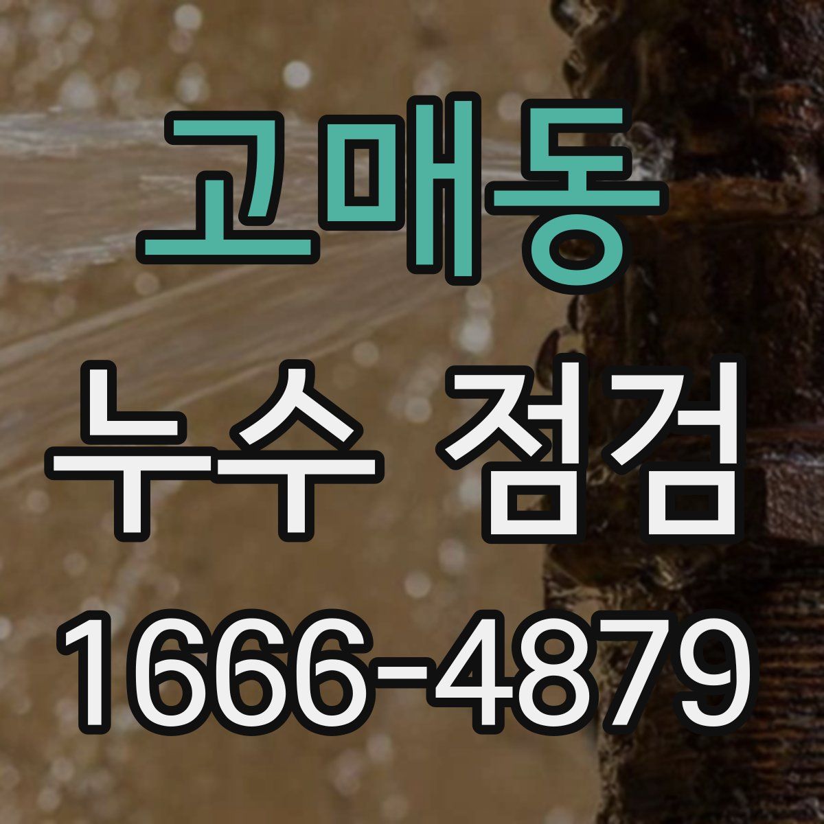 고매동 누수 점검