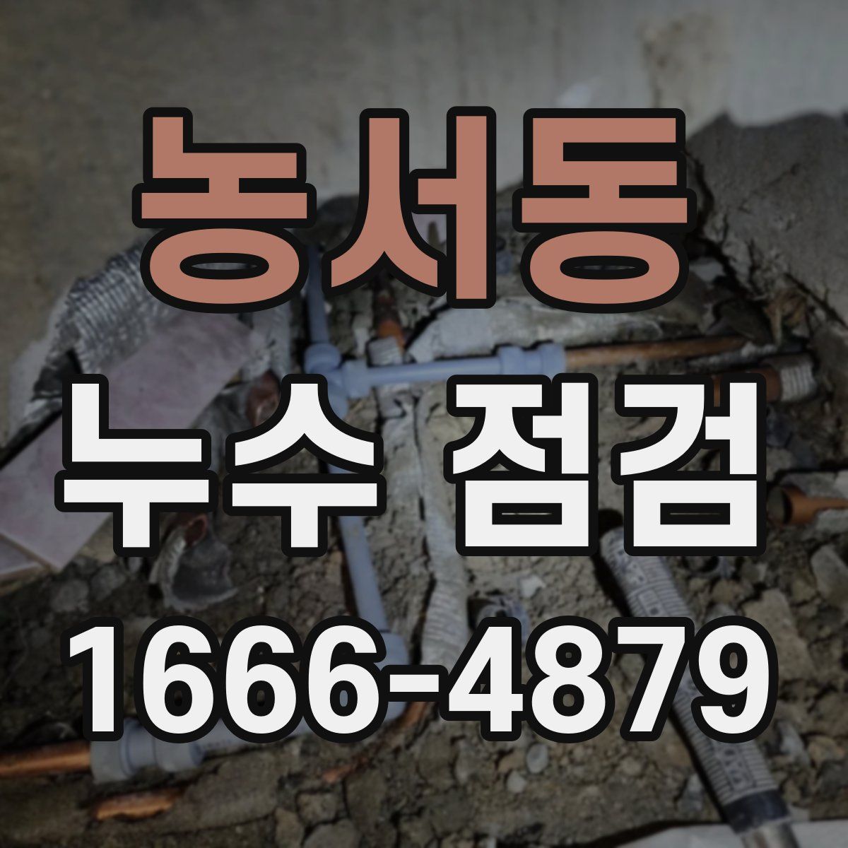 농서동 누수 점검