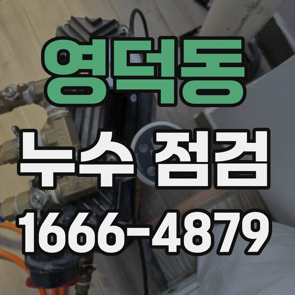 영덕동 누수 점검