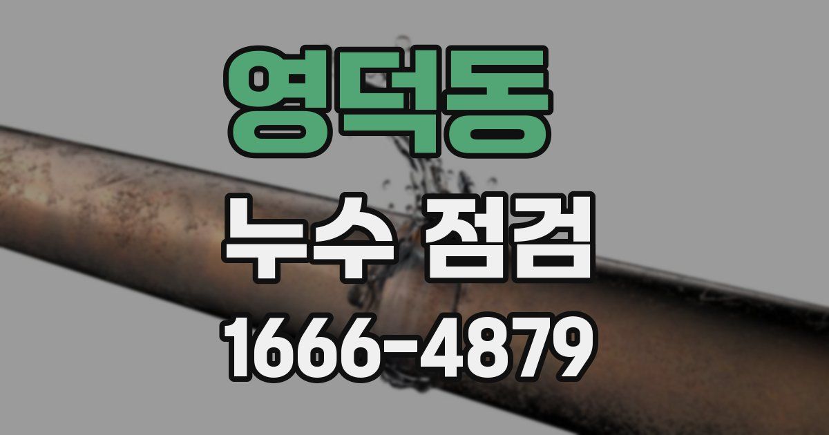 영덕동 누수 점검