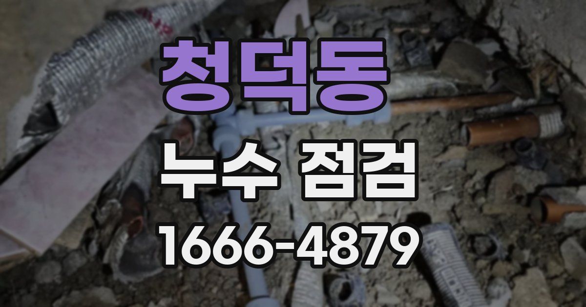청덕동 누수 점검