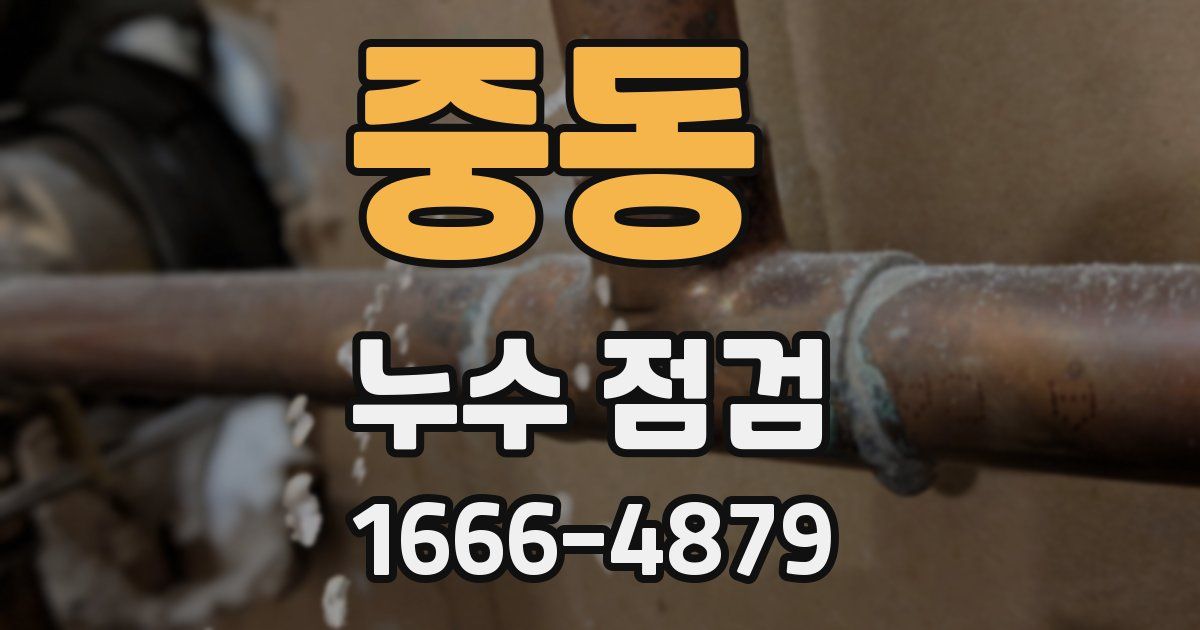 중동 누수 점검