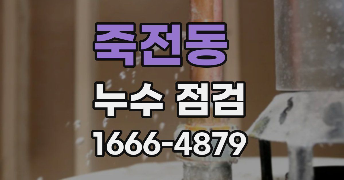 죽전동 누수 점검