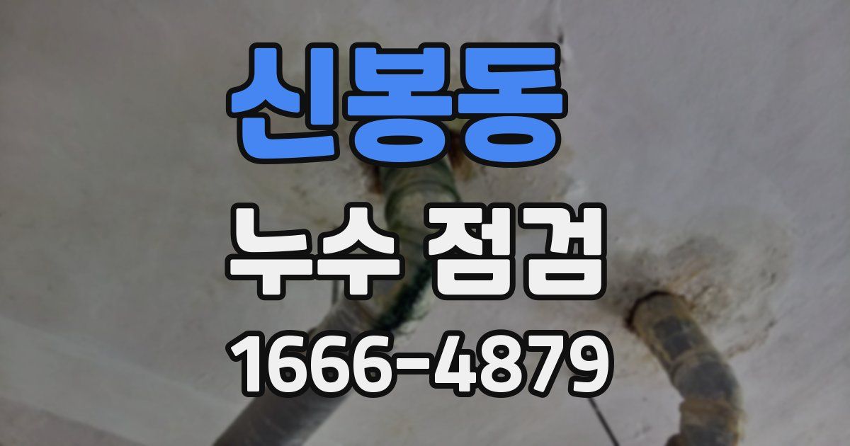 신봉동 누수 점검
