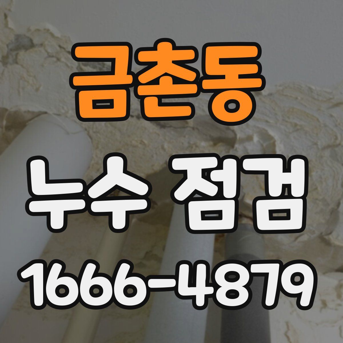 금촌동 누수 점검