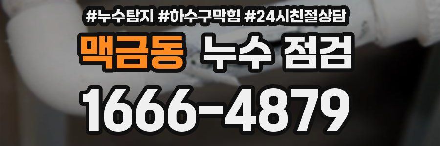 맥금동 누수 점검