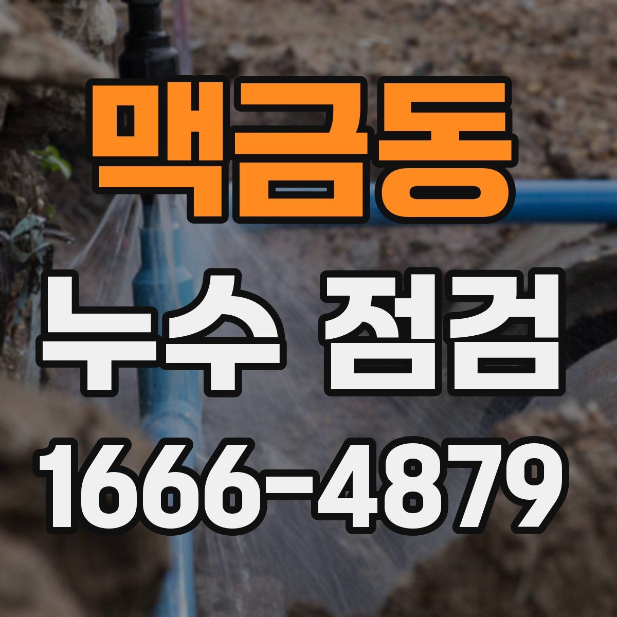 맥금동 누수 점검