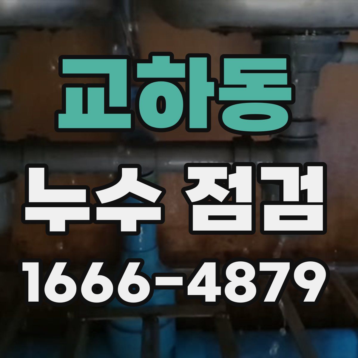 교하동 누수 점검