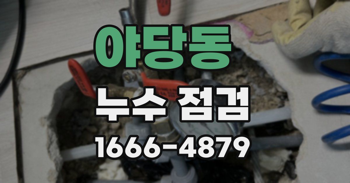 야당동 누수 점검