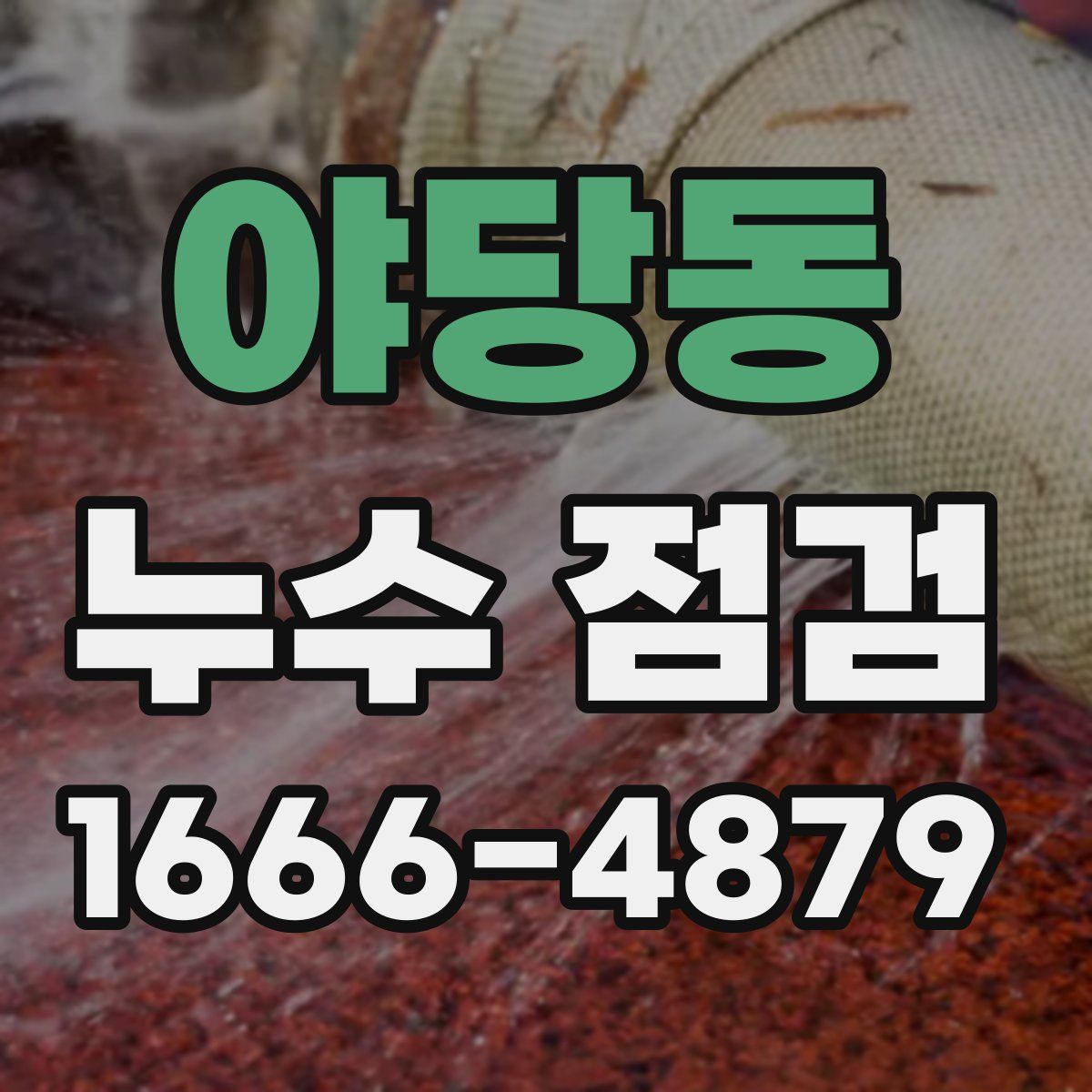 야당동 누수 점검