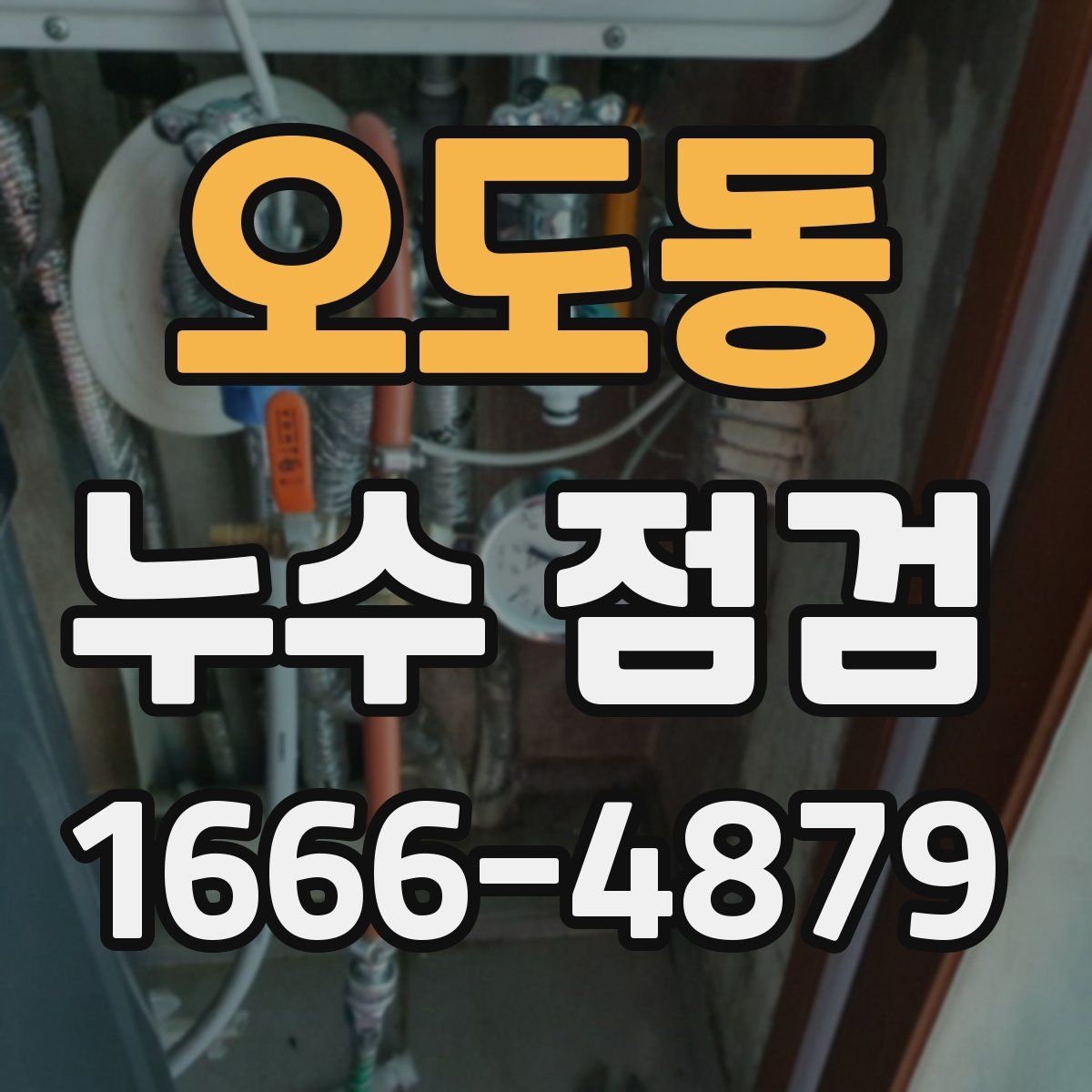 오도동 누수 점검