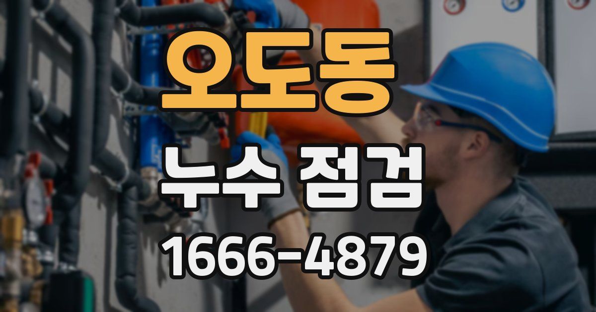 오도동 누수 점검