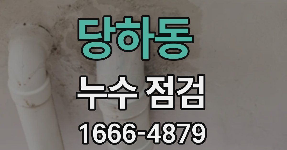 당하동 누수 점검