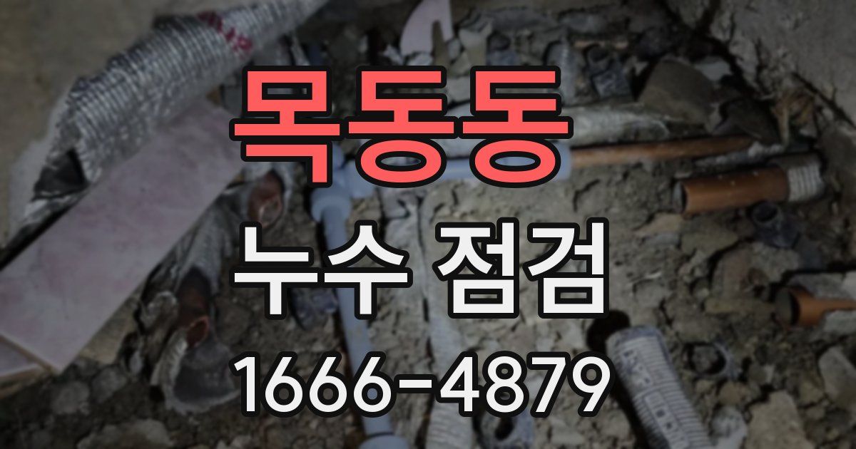 목동동 누수 점검