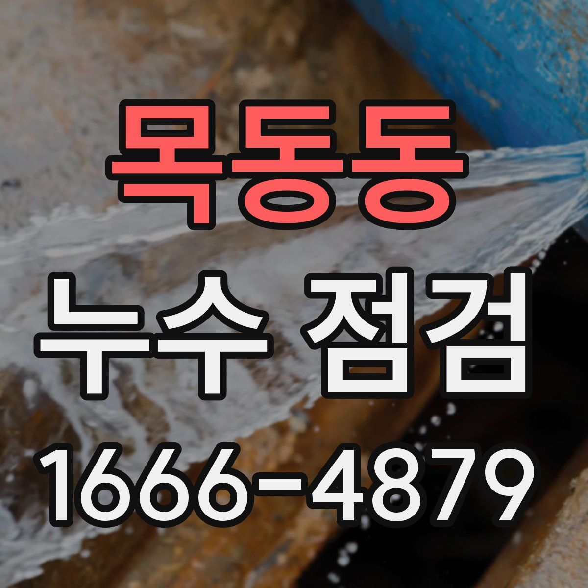 목동동 누수 점검