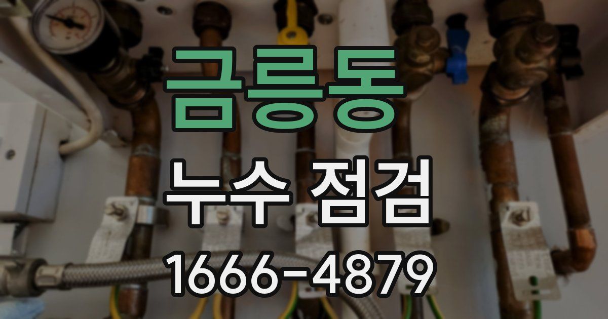 금릉동 누수 점검