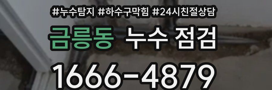 금릉동 누수 점검