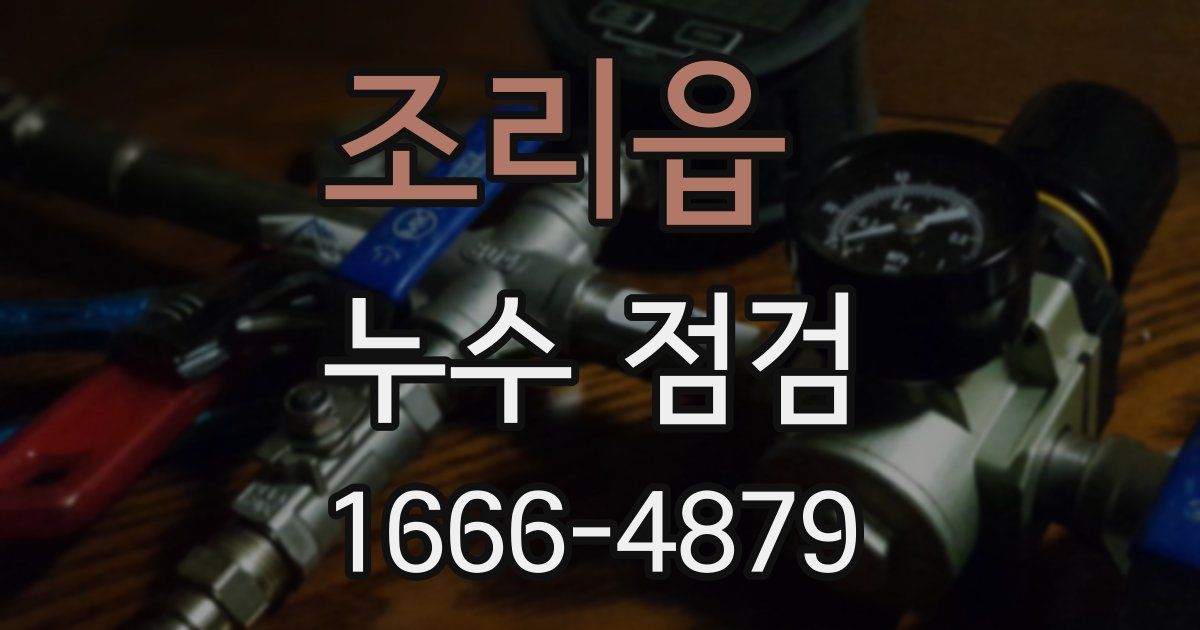 조리읍 누수 점검