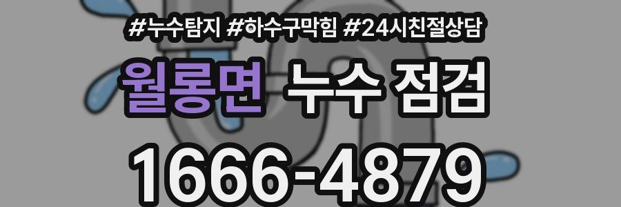 월롱면 누수 점검