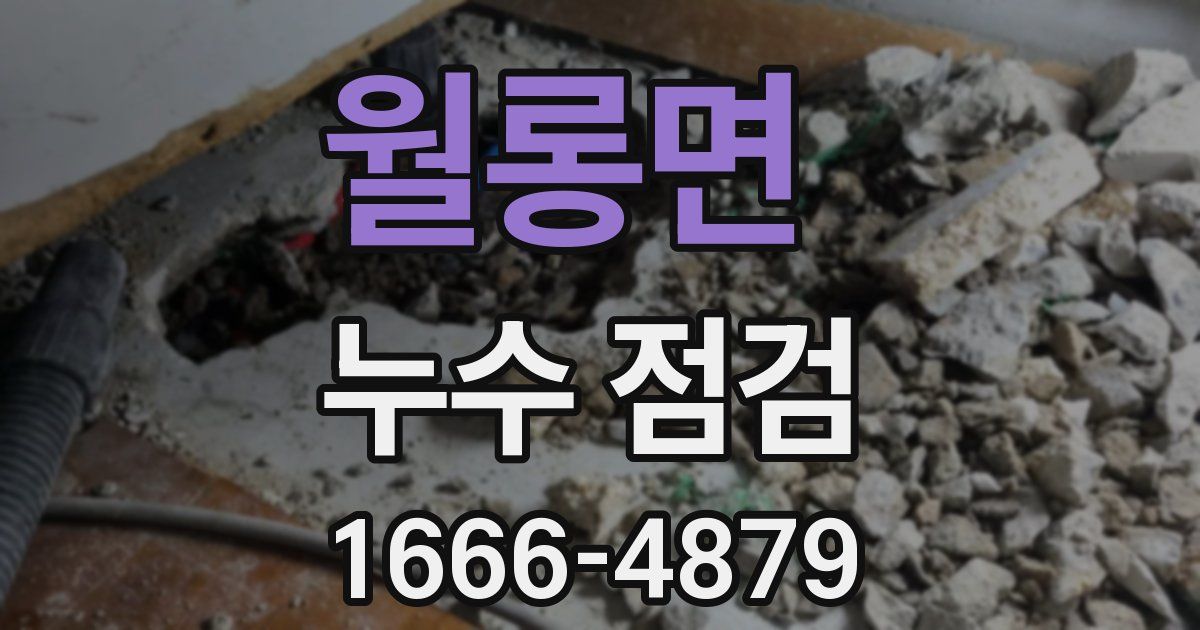 월롱면 누수 점검