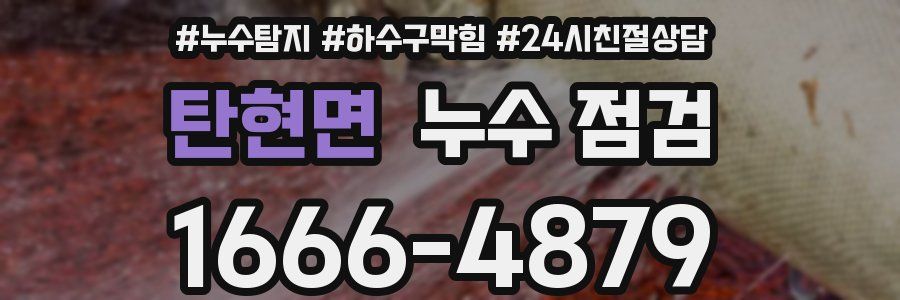 탄현면 누수 점검